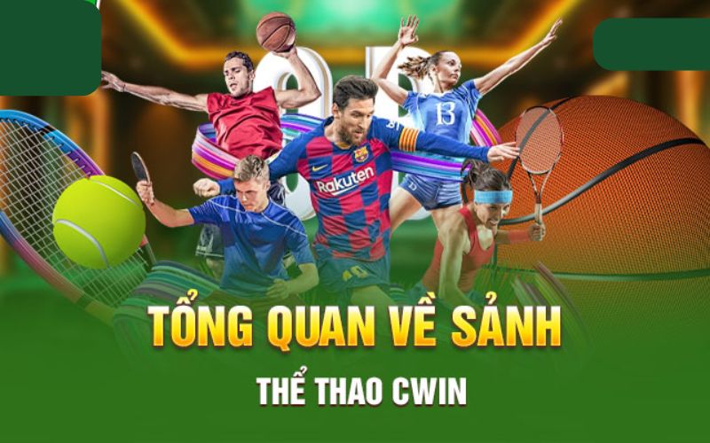 Giới thiệu tổng quan về sảnh thể thao Cwin